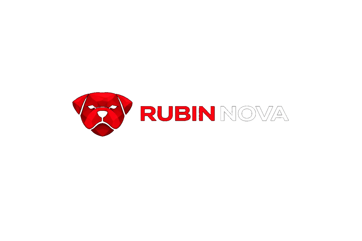 RubinNova Logo
